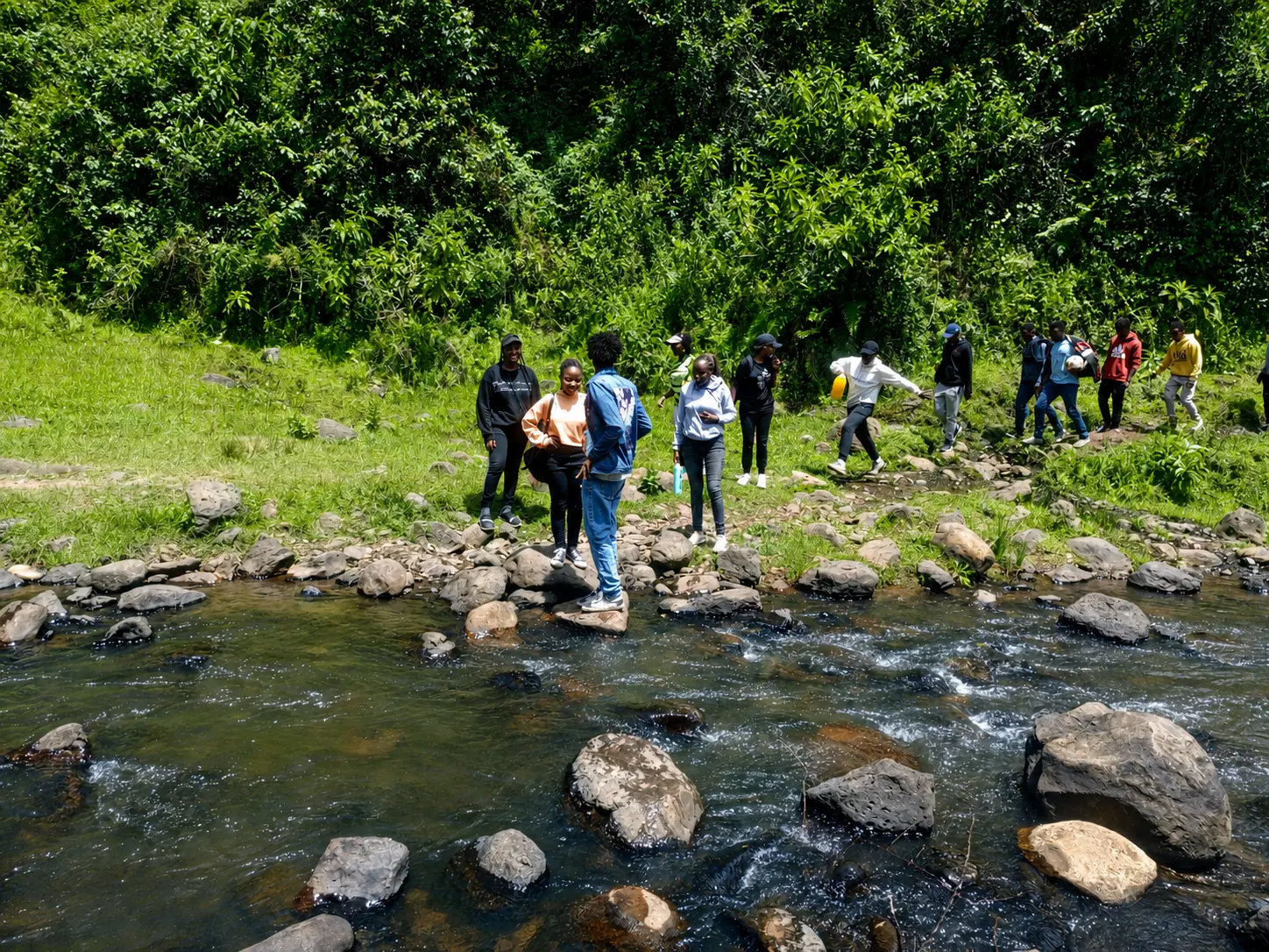 Connecting students across years and disciplines
